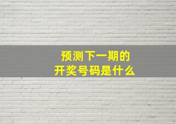 预测下一期的开奖号码是什么