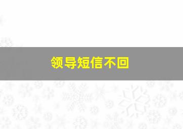 领导短信不回