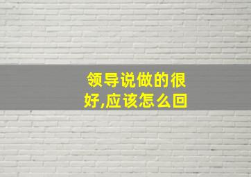 领导说做的很好,应该怎么回