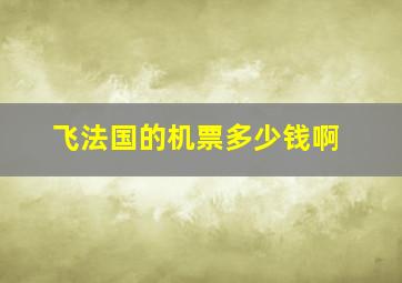 飞法国的机票多少钱啊