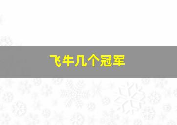 飞牛几个冠军