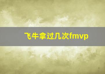 飞牛拿过几次fmvp