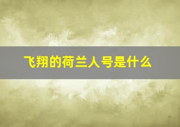 飞翔的荷兰人号是什么