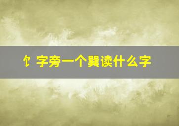 饣字旁一个巽读什么字