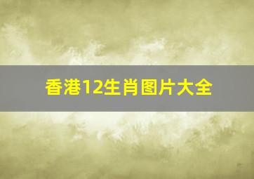 香港12生肖图片大全