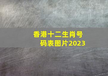 香港十二生肖号码表图片2023