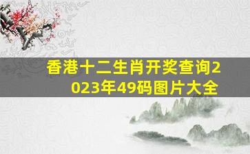 香港十二生肖开奖查询2023年49码图片大全