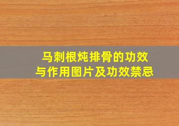 马刺根炖排骨的功效与作用图片及功效禁忌