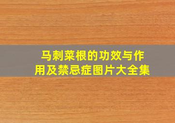 马刺菜根的功效与作用及禁忌症图片大全集