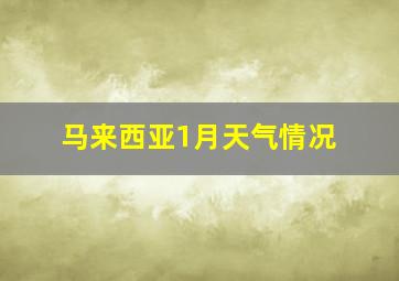 马来西亚1月天气情况