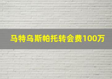 马特乌斯帕托转会费100万