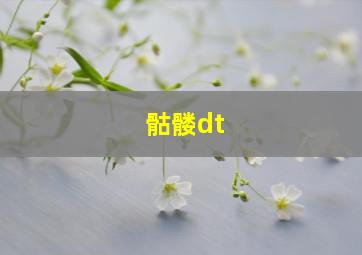 骷髅dt