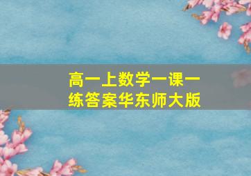 高一上数学一课一练答案华东师大版