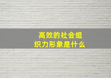 高效的社会组织力形象是什么