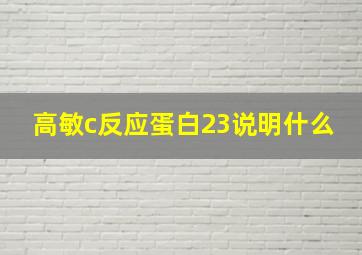 高敏c反应蛋白23说明什么