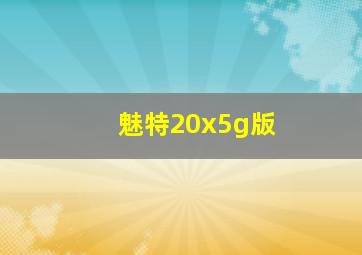 魅特20x5g版