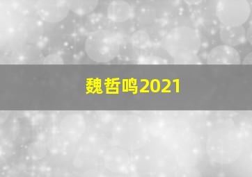 魏哲鸣2021