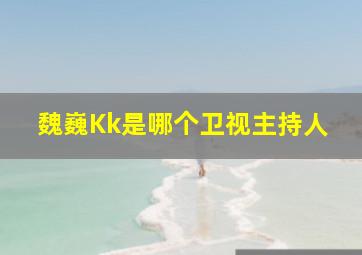 魏巍Kk是哪个卫视主持人