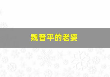 魏晋平的老婆