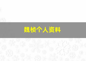 魏桢个人资料