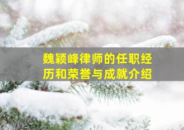 魏颖峰律师的任职经历和荣誉与成就介绍