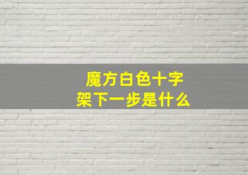 魔方白色十字架下一步是什么