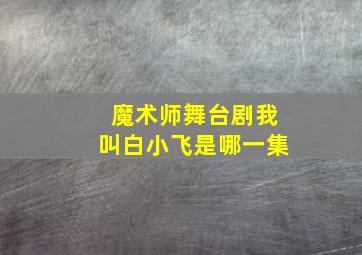 魔术师舞台剧我叫白小飞是哪一集