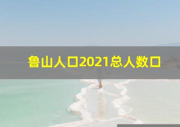 鲁山人口2021总人数口