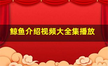 鲸鱼介绍视频大全集播放