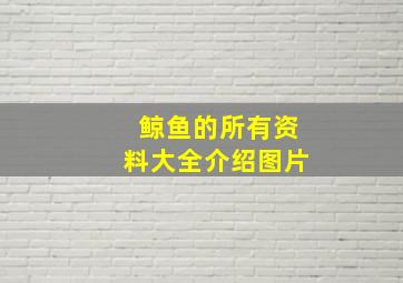 鲸鱼的所有资料大全介绍图片