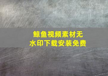 鲸鱼视频素材无水印下载安装免费