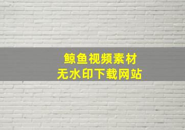 鲸鱼视频素材无水印下载网站