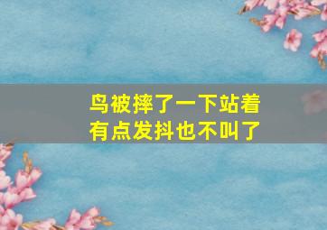 鸟被摔了一下站着有点发抖也不叫了