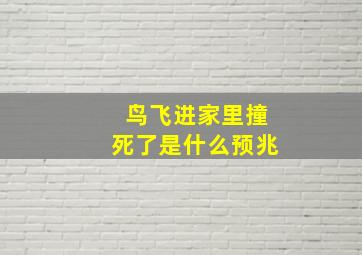 鸟飞进家里撞死了是什么预兆