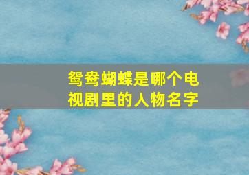 鸳鸯蝴蝶是哪个电视剧里的人物名字