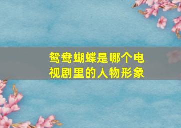 鸳鸯蝴蝶是哪个电视剧里的人物形象