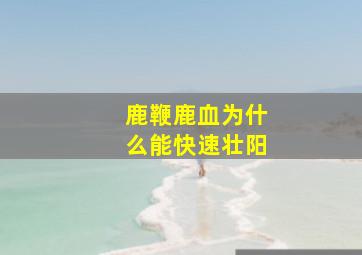 鹿鞭鹿血为什么能快速壮阳