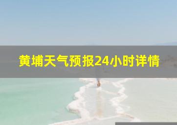 黄埔天气预报24小时详情