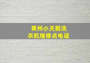 黄州小天鹅洗衣机维修点电话