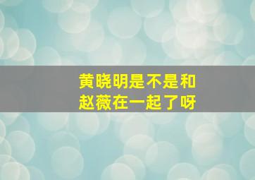 黄晓明是不是和赵薇在一起了呀