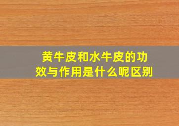 黄牛皮和水牛皮的功效与作用是什么呢区别