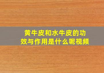 黄牛皮和水牛皮的功效与作用是什么呢视频