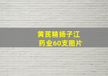 黄芪精扬子江药业60支图片