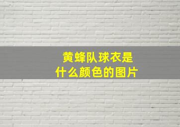 黄蜂队球衣是什么颜色的图片