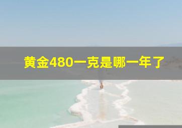 黄金480一克是哪一年了