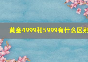 黄金4999和5999有什么区别