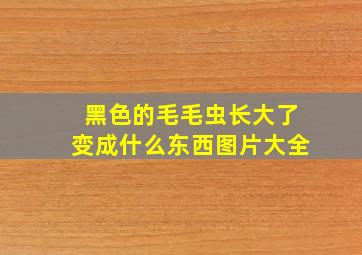 黑色的毛毛虫长大了变成什么东西图片大全