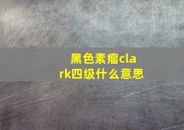 黑色素瘤clark四级什么意思