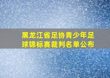 黑龙江省足协青少年足球锦标赛裁判名单公布