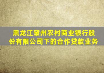 黑龙江肇州农村商业银行股份有限公司下的合作贷款业务